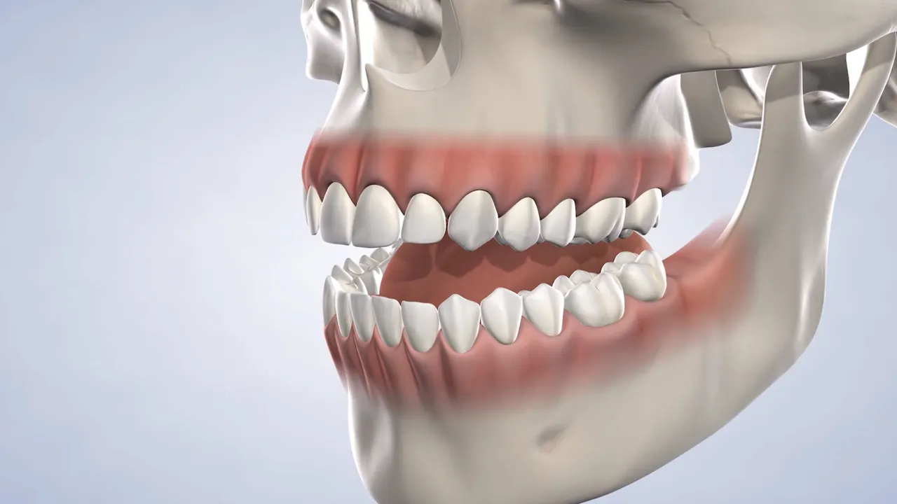 A complete set of teeth